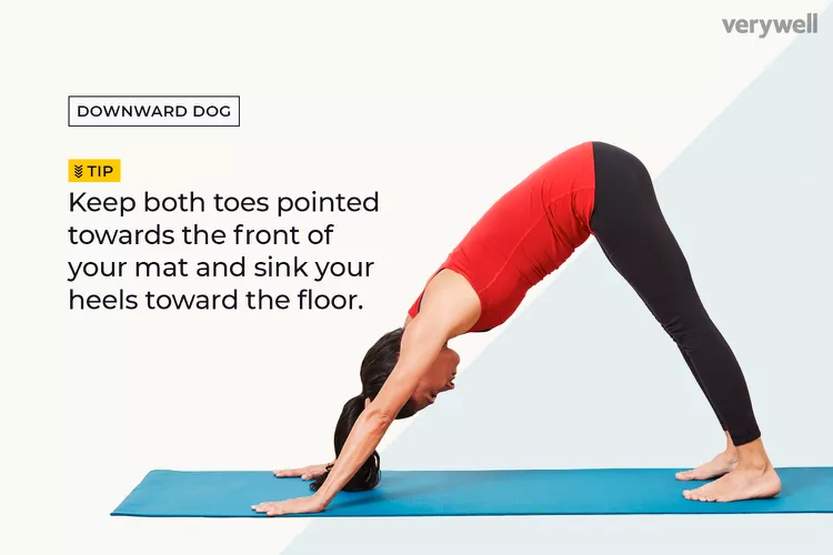 Downward Dog