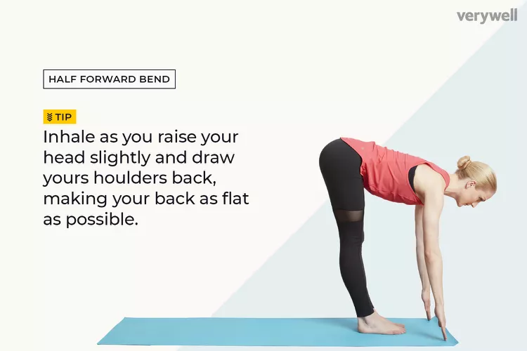 Half Forward Bend
